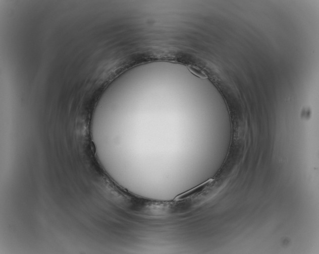 X0000096670084200802261502