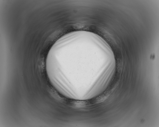 X0000096670085200802261502