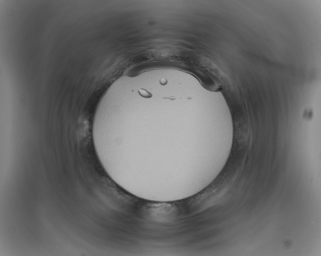 X0000096670087200802261502