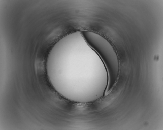 X0000096670088200802261502