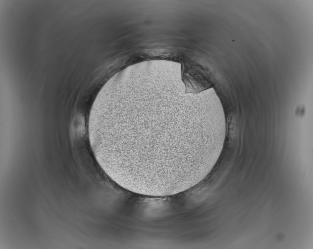 X0000096670089200802261502