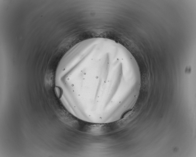 X0000096670090200802261502