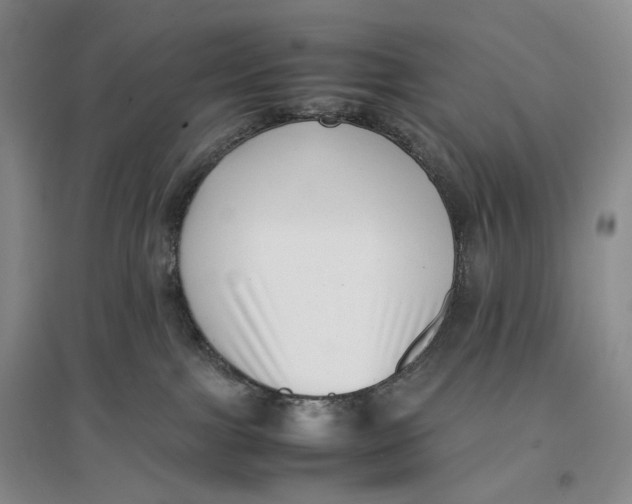 X0000096670091200802261502
