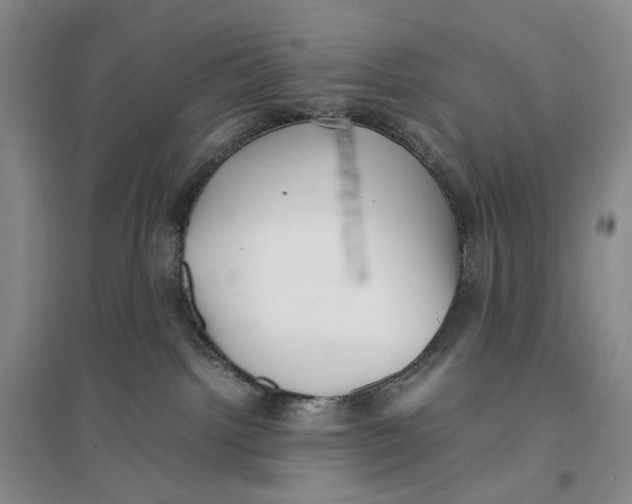X0000096670092200802261502