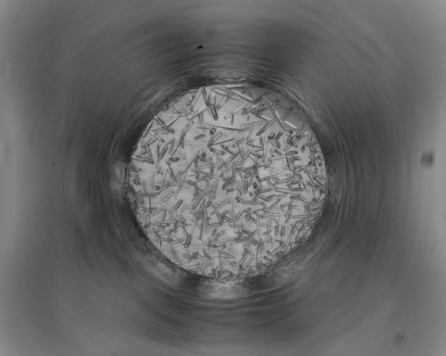 X0000096670093200802261502