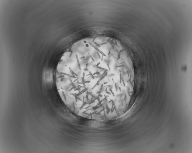 X0000096670094200802261502