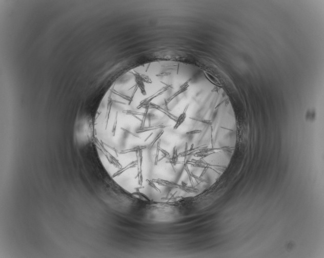 X0000096670095200802261502