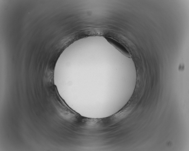 X0000096670096200802261502