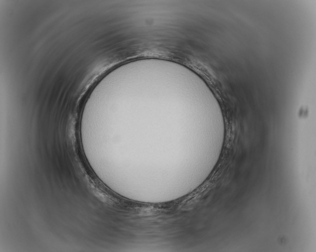 X0000096670098200802261502