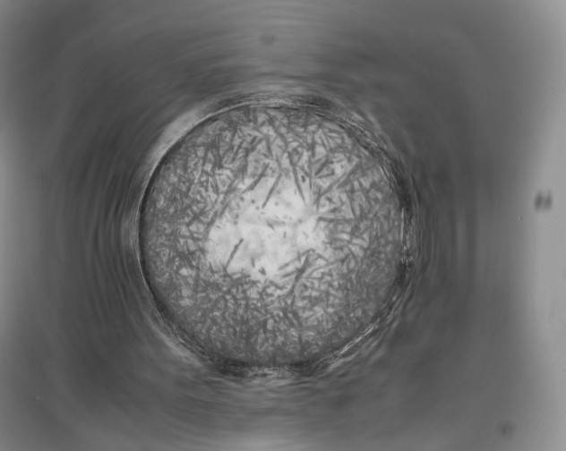 X0000096670099200802261502