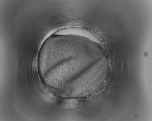 X0000096670100200802261502
