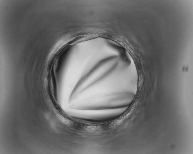 X0000096670101200802261502