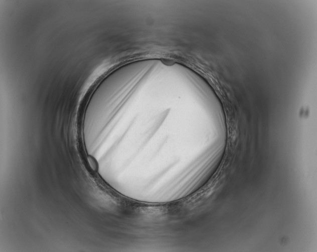 X0000096670102200802261502