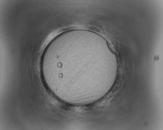 X0000096670103200802261502