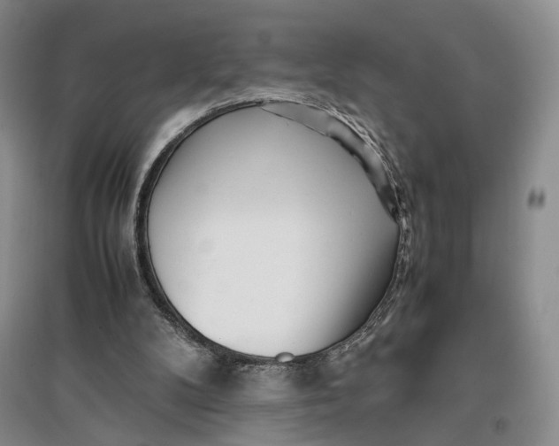 X0000096670104200802261502