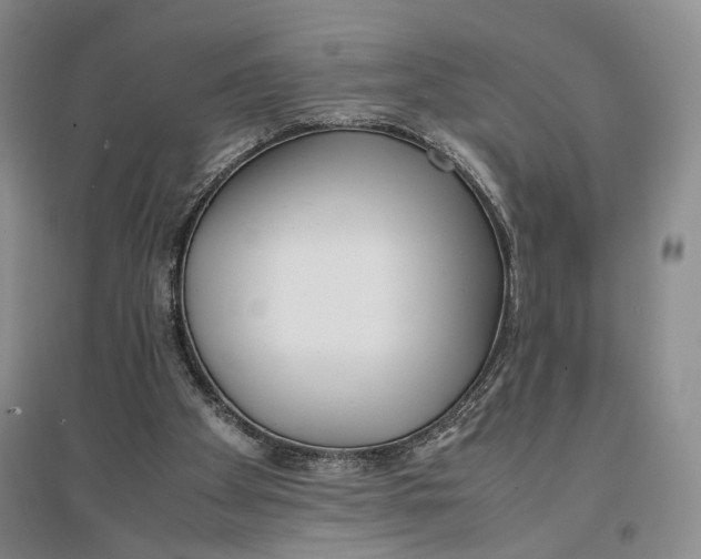 X0000096670105200802261502