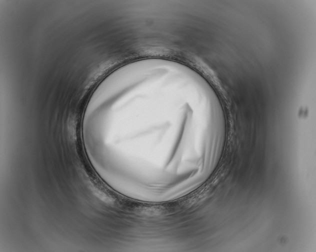 X0000096670106200802261502