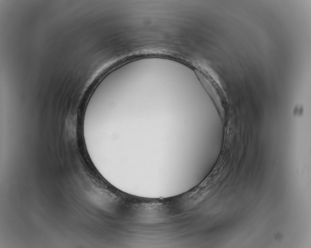 X0000096670108200802261502