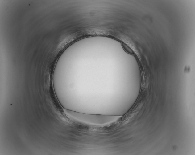 X0000096670109200802261502