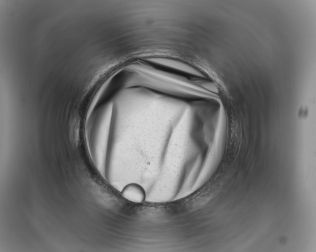 X0000096670110200802261501
