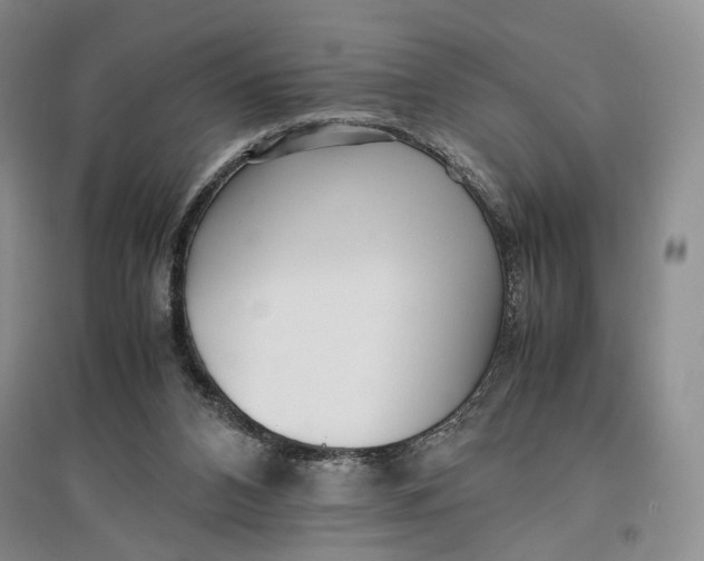 X0000096670112200802261501