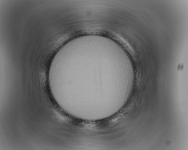 X0000096670113200802261501