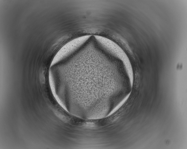 X0000096670114200802261501