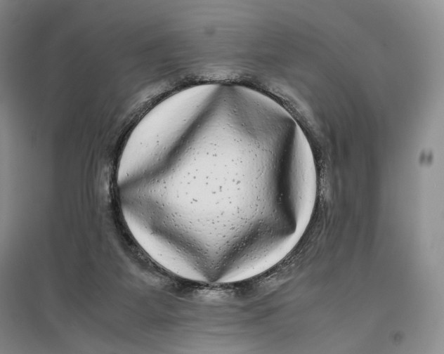 X0000096670115200802261501