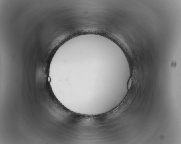 X0000096670116200802261501