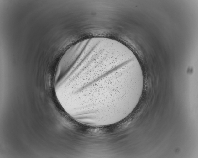 X0000096670117200802261501