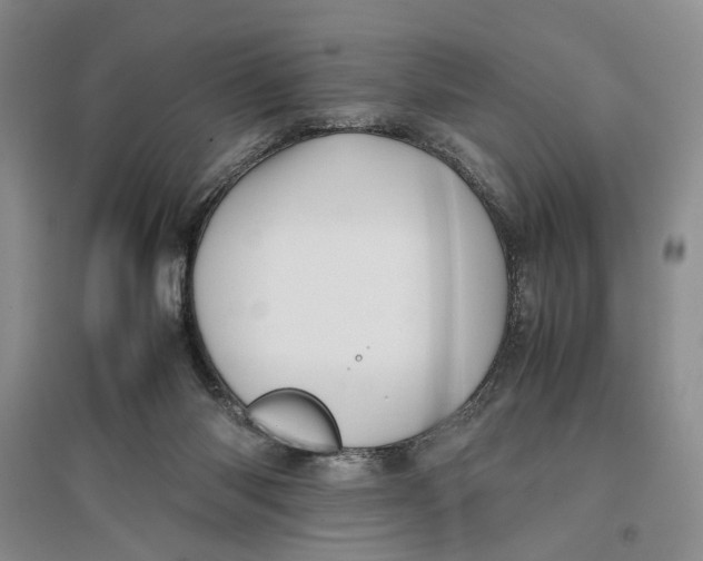 X0000096670118200802261501