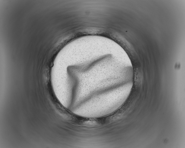 X0000096670119200802261501