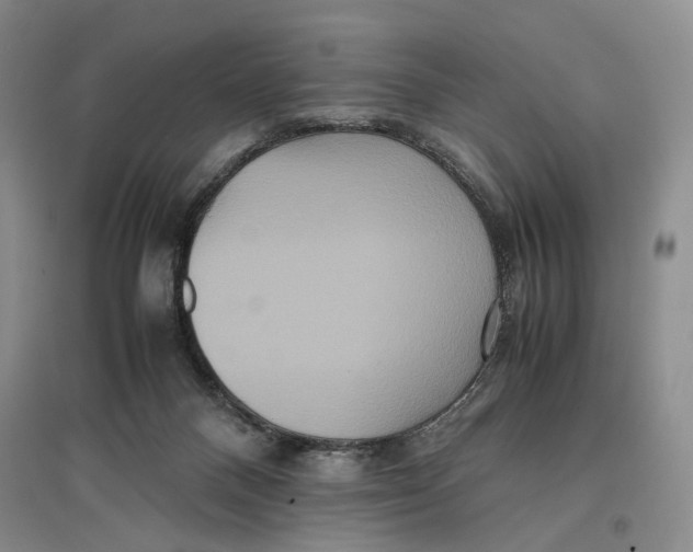 X0000096670120200802261501