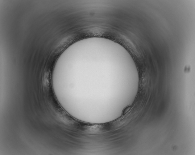 X0000096670122200802261501