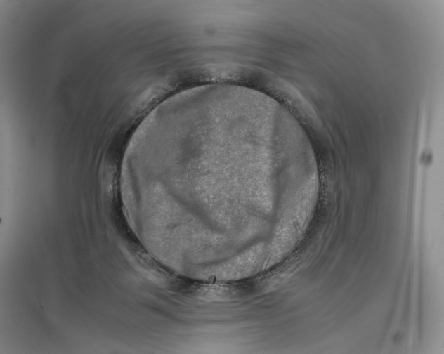 X0000096670123200802261501