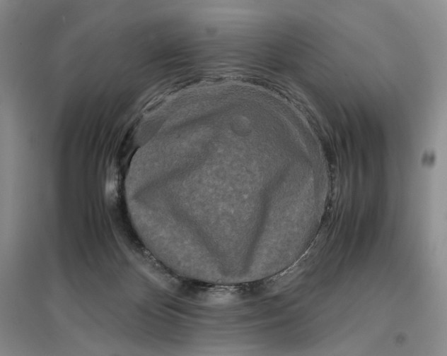 X0000096670124200802261501