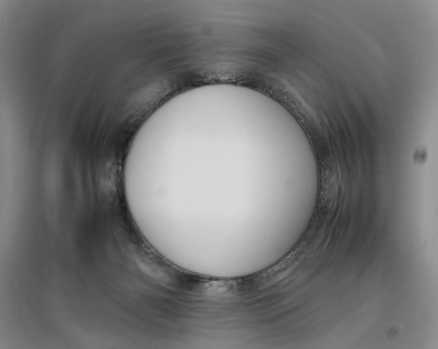 X0000096670126200802261501