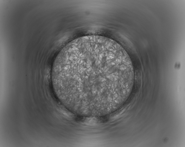 X0000096670127200802261501