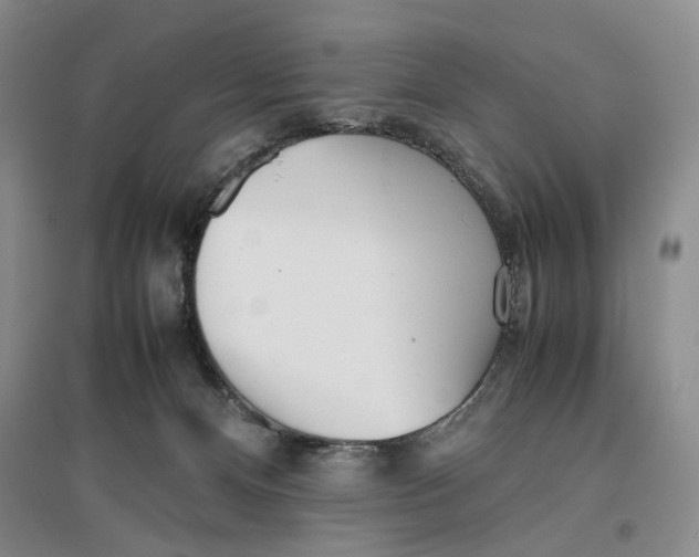 X0000096670128200802261501