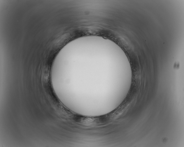 X0000096670129200802261501