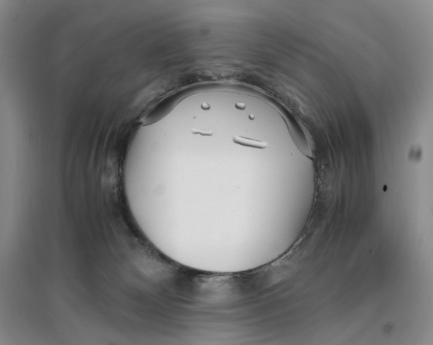 X0000096670132200802261501