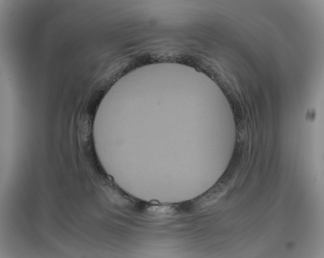 X0000096670133200802261501
