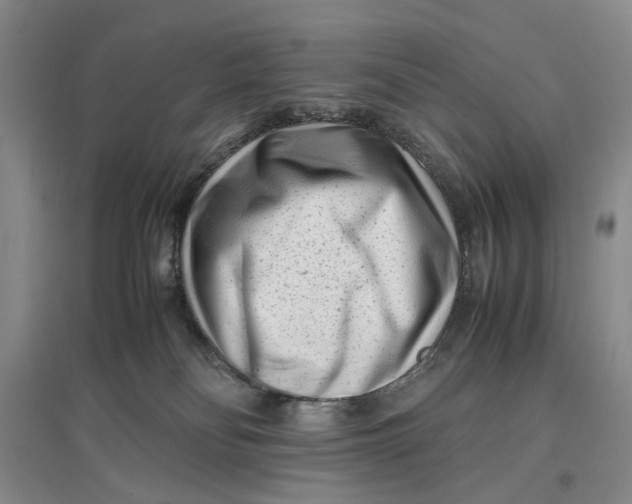 X0000096670134200802261501