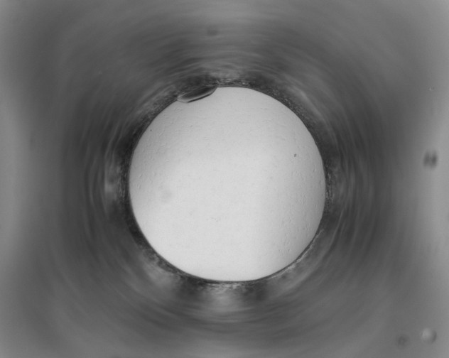 X0000096670136200802261501