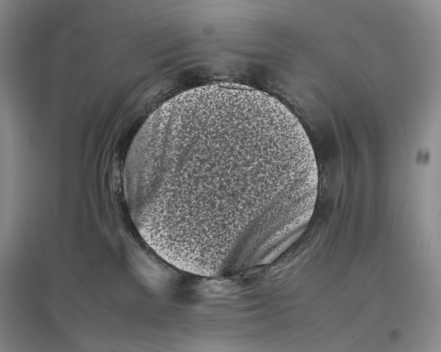 X0000096670137200802261501
