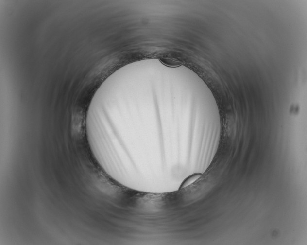 X0000096670138200802261501