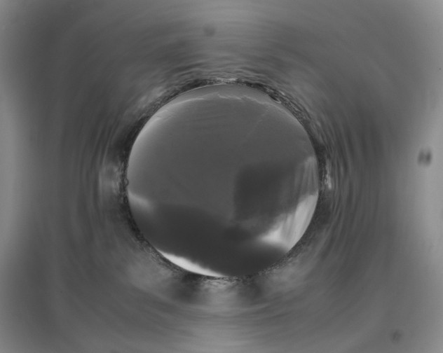 X0000096670139200802261501