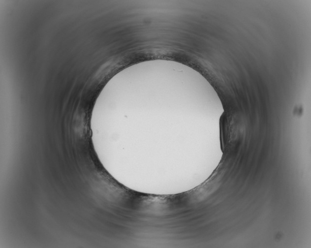 X0000096670140200802261501