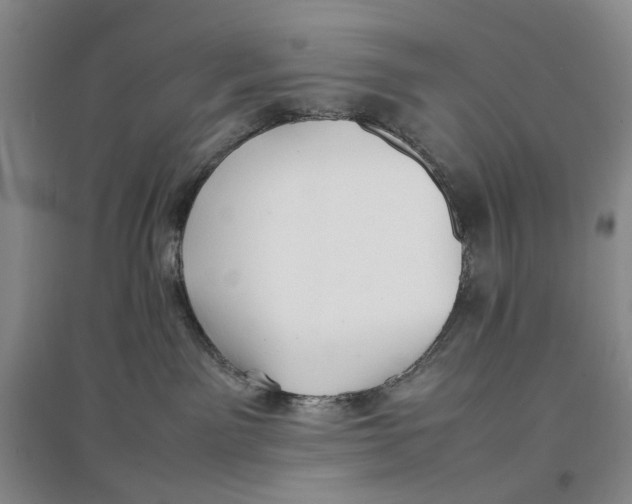 X0000096670141200802261501