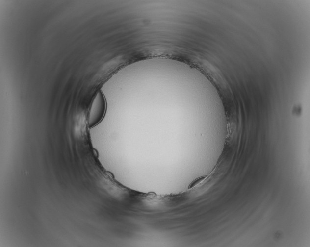 X0000096670142200802261501